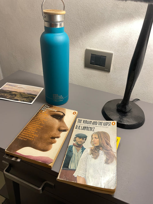 Bambuu Brush hot/cold Vaccum Flask in Turquoise