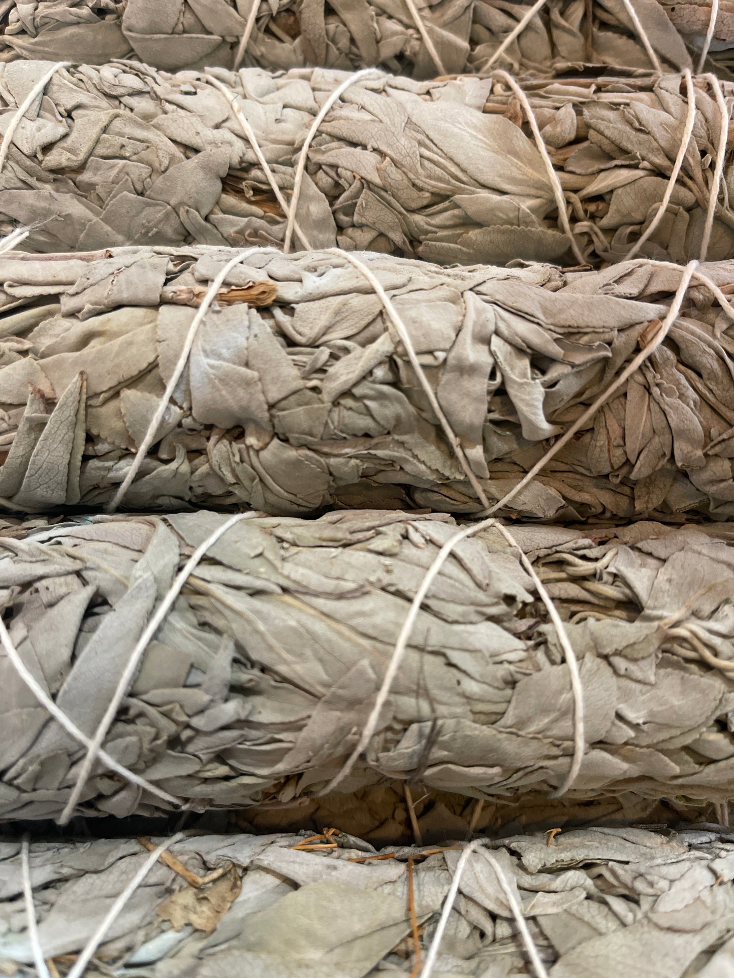 Ethically harvested White Sage large cleansing Bundles