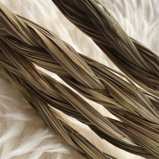 Hand gathered Sweetgrass Braid